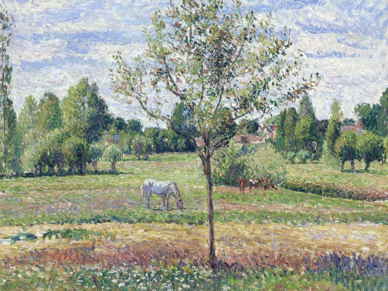 Horse on the Meadow. Cloudy. Eragny, Camille Pissarro, landscape, 2K, picture, nature