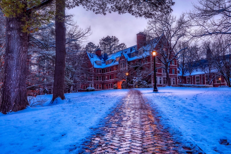 covering, path, ice, bare tree, snow-white, lights, pathway, wood, landscape, building, frozen, the way forward, direction, frosty, sky, transportation
