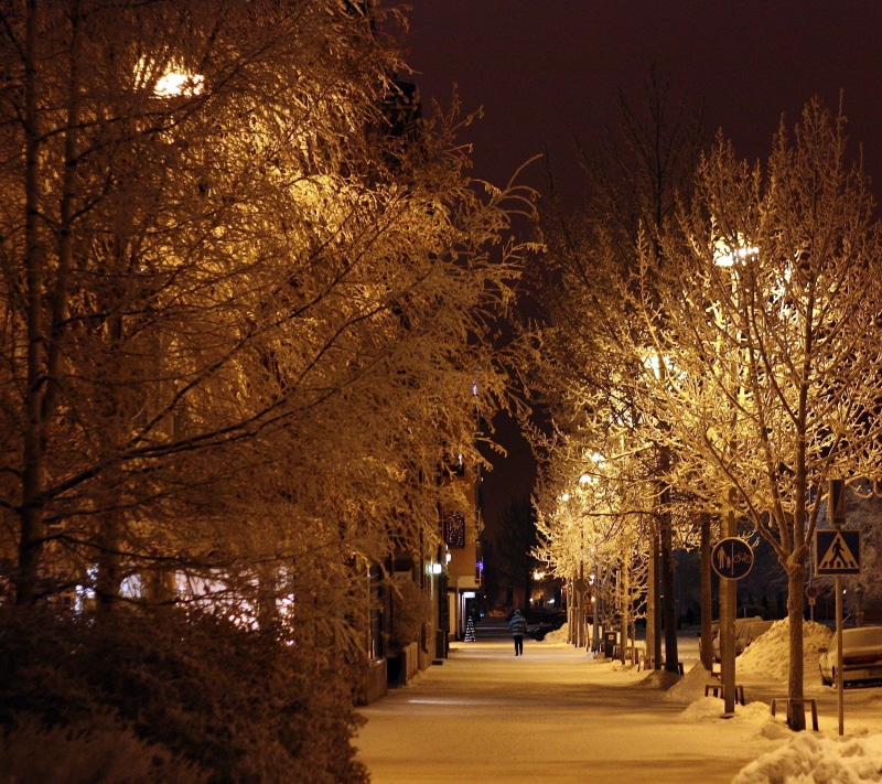 tree trunk, branch, walking, beauty in nature, trees, lights, park, growth, trunk, night, direction, sidewalk, oulu, 1080P, cold, winter, outdoors, evening