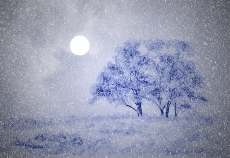 night, frozen, scenics - nature, black, sky, frost, tranquil scene, snowcapped mountain, snowing, snow flurry, outdoors, night time, two trees, white, weather