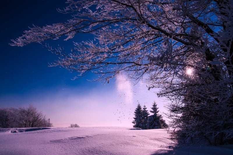 tranquil scene, tree, no people, winter, scenics - nature, cold temperature, cold, rural, woods, sunset, season, beautiful, meadow, hdr, nature, night