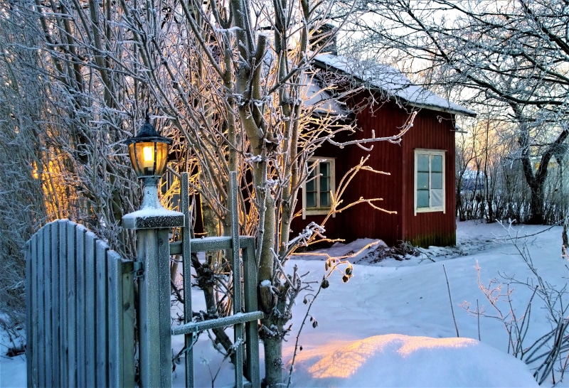 branches, ice ice crystal, view, tree, snow crystals, 5K, wooden building, beautifully, cold, frost, facade, christmas, torp, red, sunset, bare, nature