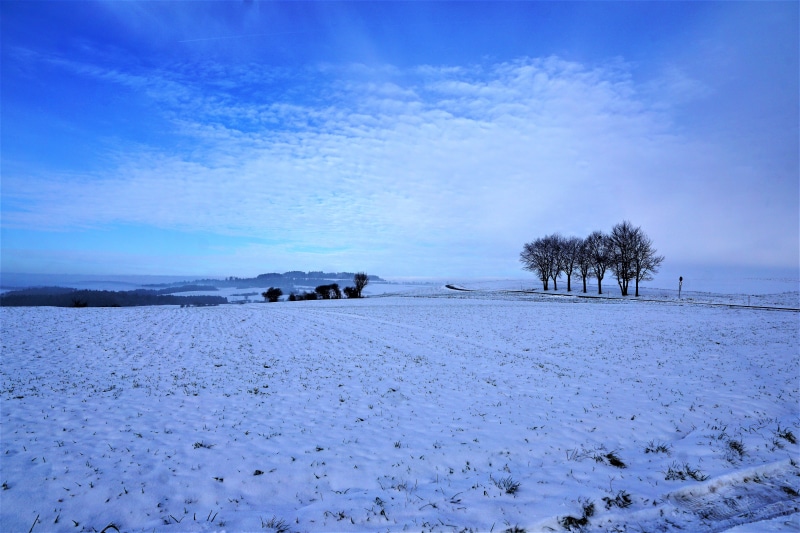 december, beauty in nature, sky, field, color, tree, forest, vacations, more, winter, white color, blue, environment, meadow, emmingen, mountain, cold temperature