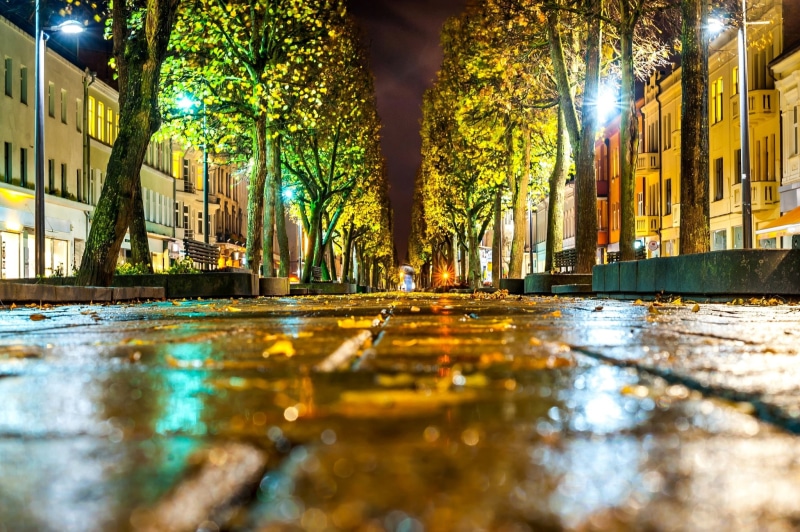 road, building, leaves, macro, lights, autumn, street, home, Kaunas, Lithuania, light, 1080P, bokeh, asphalt, the city, trees