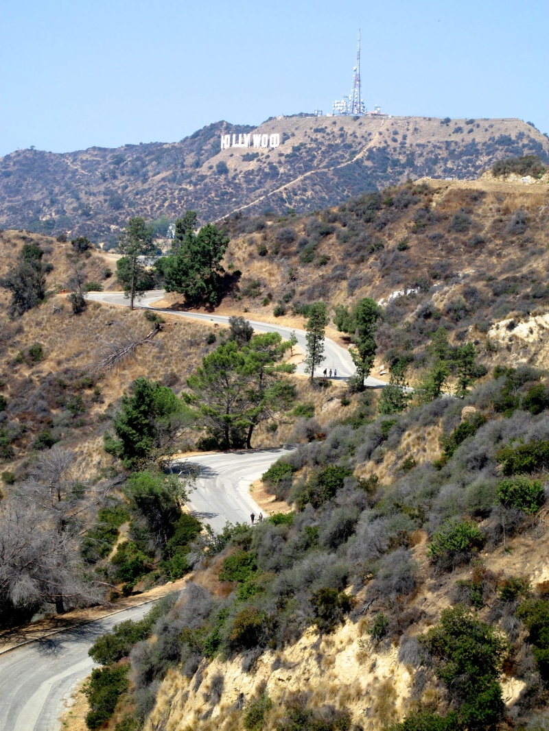 land, day, no people, scenics - nature, sky, architecture, hollywood sign, mountain, environment, california, high angle view, growth, landscape, building exterior