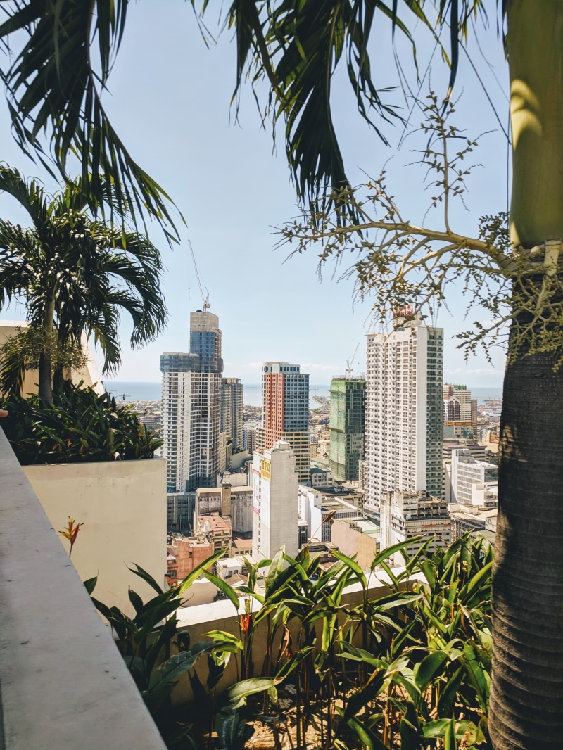 binondo, sky, metro manila, manila, financial district, architecture, tree, day, outdoors, cityscape, building exterior, tropical climate, skyscraper, sunlight