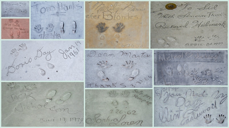 wall - building feature, variation, indoors, full frame, animal representation, stars, hollywood stars, Hollywood Boulevard, communication, architecture