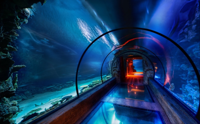 vegas, passage, tunnel, no people, reflection, architecture, blurred motion, built structure, Underwater, Aquarium, United States, 5K, glass - material