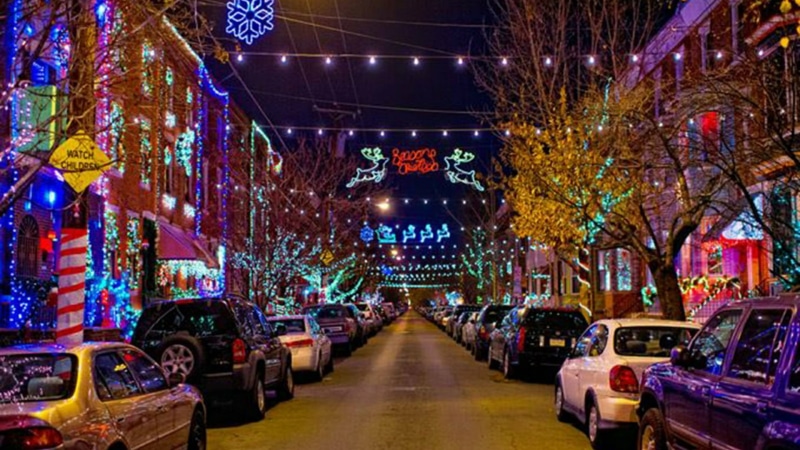 christmas, direction, decoration, nature, lighting equipment, illuminated, the way forward, building exterior, philadelphia, celebration, plant, no people