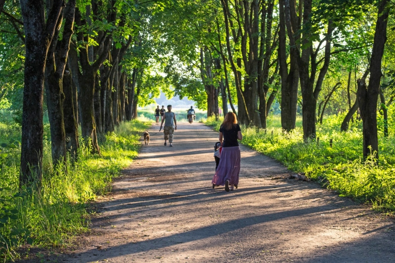 2K, lifestyles, walking, greens, few people, soil, park - Man Made Space, women, day, vista, full length, footpath, men, road, treelined, pram, sunny