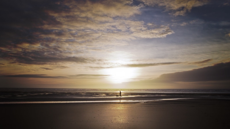 cloud - sky, silhouette, stroll, pet, scenic, dusk, waves, ocean, coast, dog, sunset, silhouettes, unrecognizable person, outdoors, beach, sea, sand, land