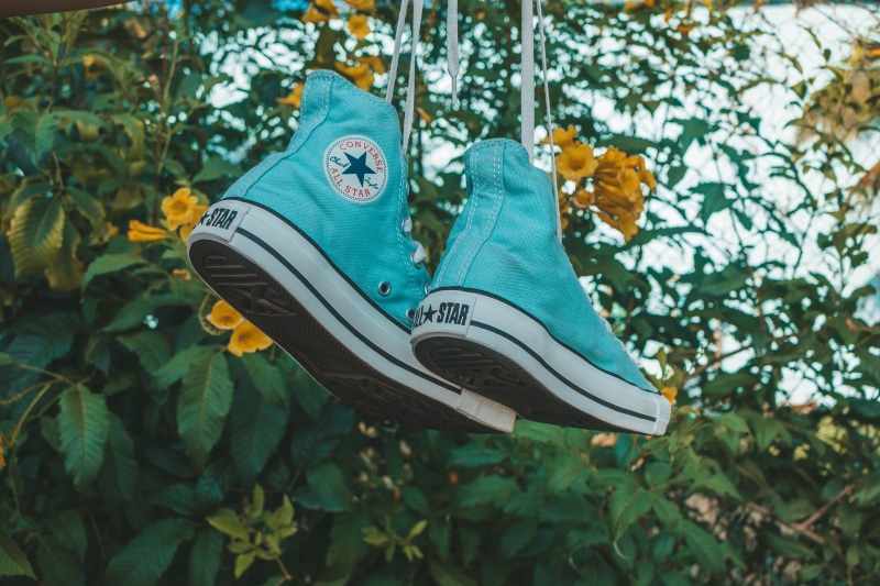 teal, vintage, land, sneaker, shoe, nature, no people, blue, leaves, growth, flower, representation, 5K, clothing, animal representation, plant part, footwear