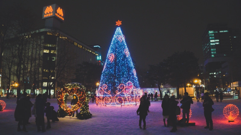 snow, sapporo, plant, 5K, real people, christmas tree, japan, winter, warm clothing, decoration, tree, celebration, building exterior, night, christmas lights