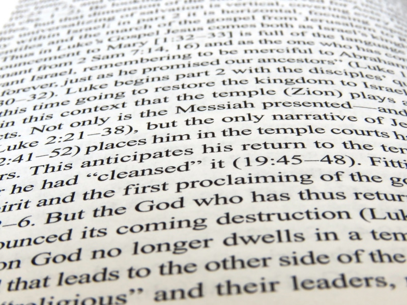 repetition, story, backgrounds, learn, business, page, calligraphy, back, club, information, ad, bible, school, belief, western script, bookstore, verse