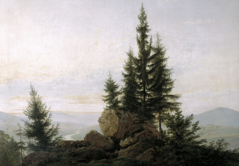 View of the Elbe Valley, Caspar David Friedrich, stones, day, pine tree, outdoors, plant, environment, non-urban scene, tree, nature, scenics - nature