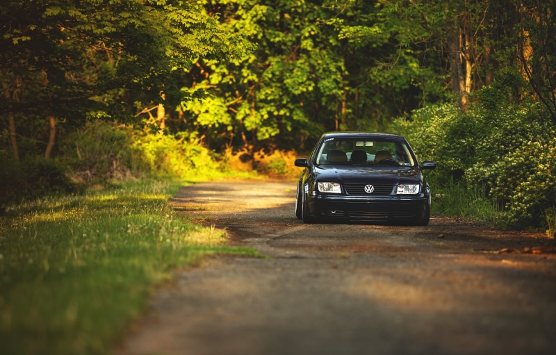 land, direction, motor vehicle, Volkswagen, 5K, field, forest, tree, growth, sunlight, plant, alley, car, transportation, the way forward, black, road