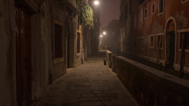 night, street, animals, cat, old building, Italy, house, architecture, 1080P, building, Venice, lights