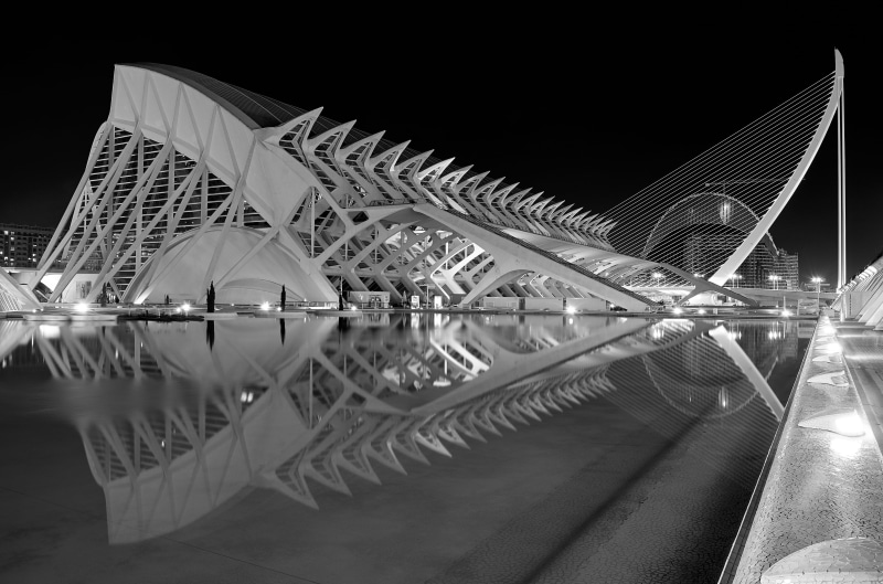 santiago calatrava, tourism, office building exterior, nature, valencia, night, skyscraper, city, ciudad de las artes y las ciencias, science, museum, black