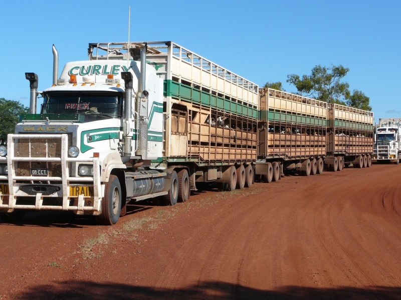 Road Train, Truck, 720P, Australia, Trucks, Semi, Cattle-hauler, Kenworth, Mack Trucks