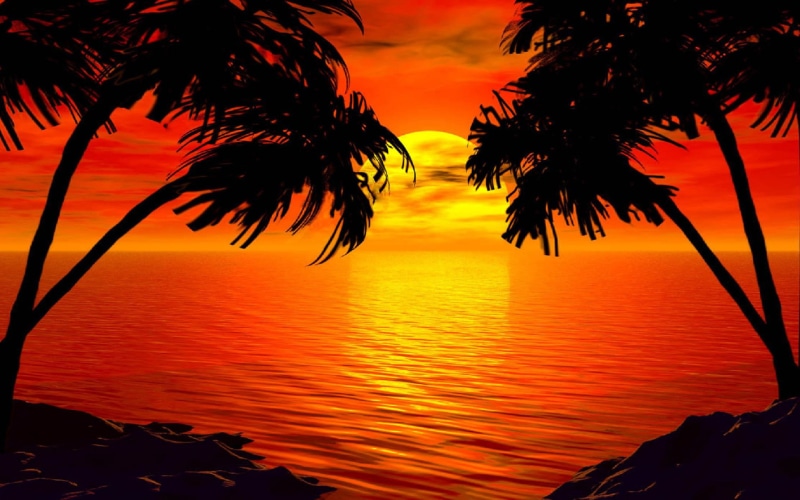  2K, paradise, sunset, sky, sea, tropical, red, island, hd, palm