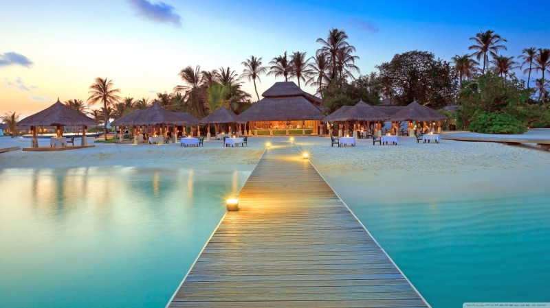 beach, tropical, 720P, palm trees, pier, hotel, resort, restaurant