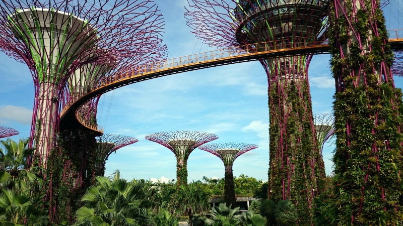 sky, travel destinations, city, gardens, asia, growth, 4K, marina bay, travel, bridge - man made structure, tourism, plant, garden, day, park, cloud - sky