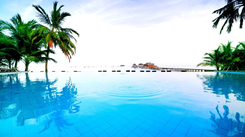 coconut, tourism, poolside, travel Destinations, sea, green, summer, outdoors, trees, sunlight, blue, reflection, plant, tranquil Scene, universe, palm trees