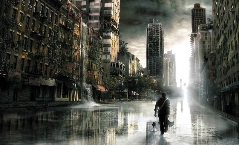 animal, city life, building exterior, 1080P, architecture, outdoors, wet, transportation, cityscape, nature, Sci Fi, water, building, city, built structure