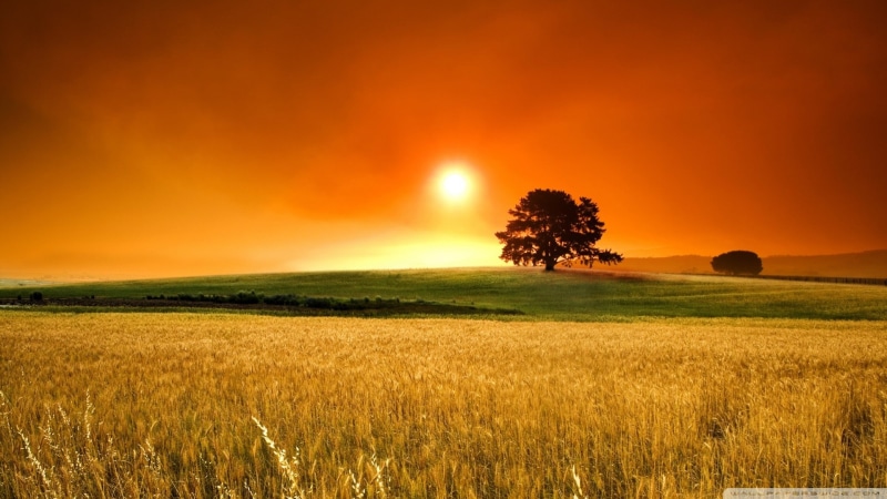 sunset, 1080P, hd, seasons, nature, art, summer