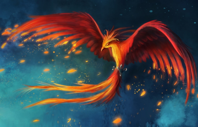 Phoenix, drawings, art, animals, artwork, 2K, red, hd, BIRDS
