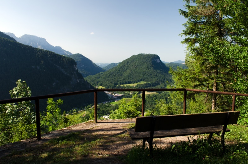 plant, obersalzberg, nature, landscape, tree, bench, 4K, seat, berchtesgadener land, historically, forest, tea house, environment, bunker, tranquility