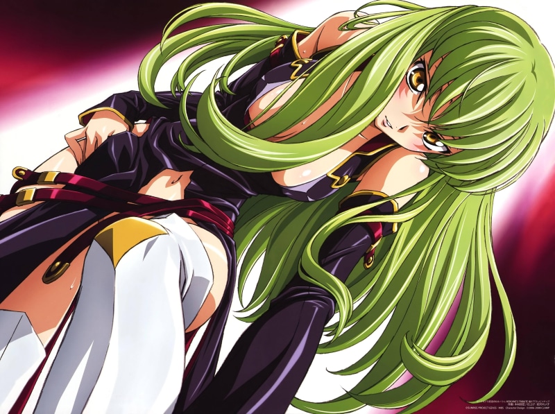 creativity, beauty in nature, leaf, decoration, C.C., plant part, design, nature, close-up, day, Code Geass, 4K, art and craft, indoors, growth, multi colored
