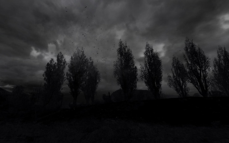 stalker, 720P
