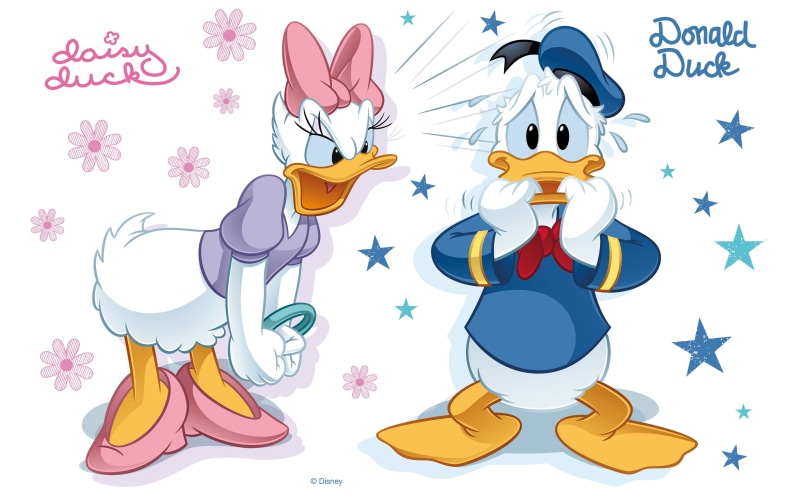 moments, donald, animal wing, no people, disney, creativity, backgrounds, close-up, 4K, flower, representation, cartoon, tense, butterfly - insect, art and craft