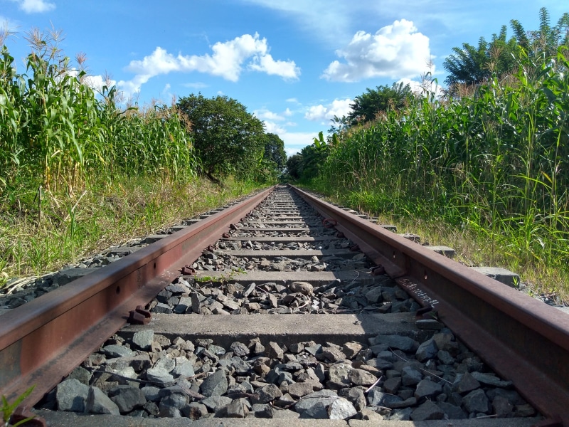 vias, direction, outdoors, surface level, nature, Rails, day, diminishing perspective, the way forward, vanishing point, railroad track, cloud - sky, no people