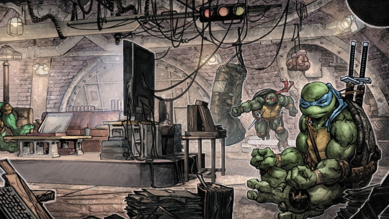 Meditation, Raphael (TMNT), Teenage Mutant Ninja Turtles, 1080P, Comics, TMNT, Leonardo (TMNT)