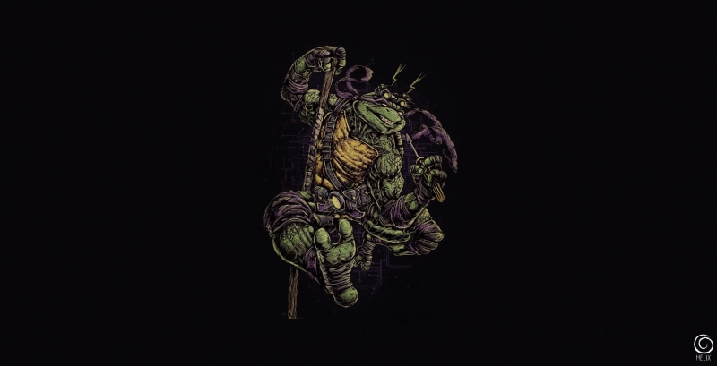 1080P, Donatello (TMNT), Teenage Mutant Ninja Turtles