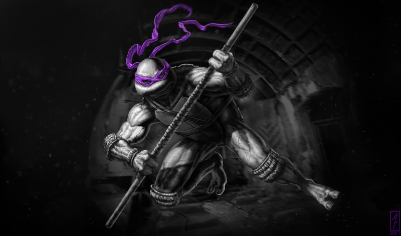 Teenage Mutant Ninja Turtles, Donatello (TMNT), 2K