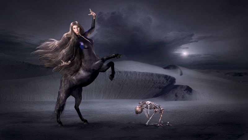 atmospheric, ethereal, clothing, dreamlike, feminine, animal wildlife, fantasy, clouds, dark clouds, fantastic, magic, full length, mysterious, skeleton