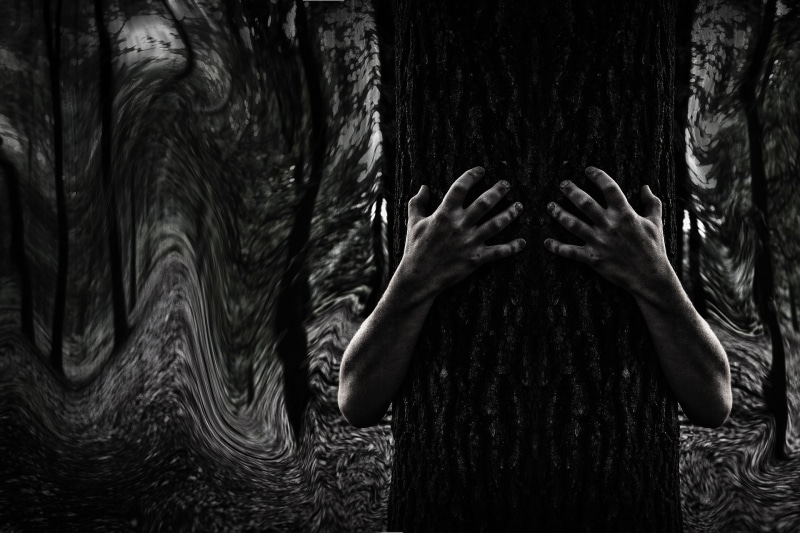 forest, photo, haunted, nature, lifestyles, black And White, front view, dark, tree, standing, close-up, mystery, mysterious, obscured face, horror, grayscale