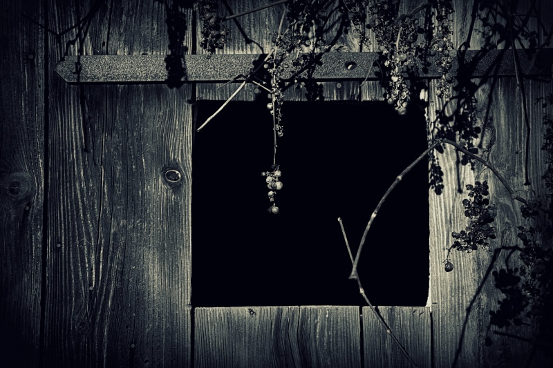 outdoors, margin, black and white, 5K, building, close-up, weathered, rustic, wall, wood, wood - material, texture, panel, wall - building feature, building exterior
