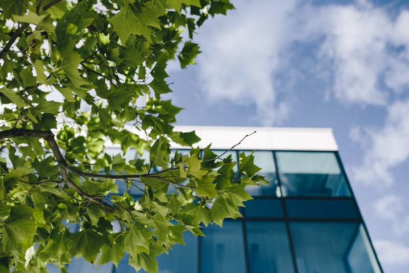 glass - Material, modern, office, low angle view, windows, buildings, commerce, business, beauty in nature, Office building, focus on foreground, outdoors