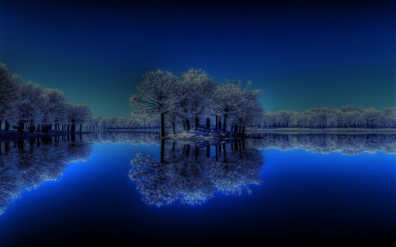 night, blue, clouds, widescreen, lake, mirrored, calm, nice, 1080P, picture, grove, flowering tree, white, beije, quiet, winter