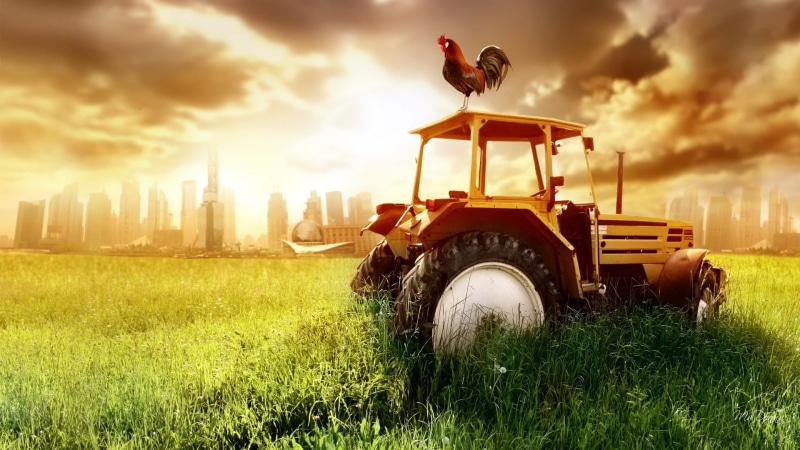 farm, grass, black, vintage, ranch, bound, storm, country, brown, field, tractor, chicken, 1080P, encroachment, rooster