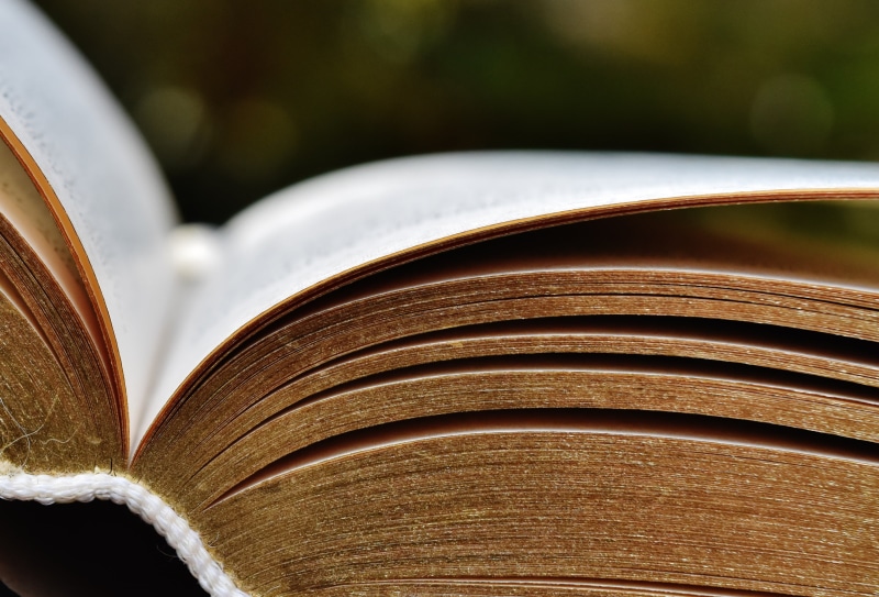 publication, religion, opened, selective, focus on foreground, scrolled, art and craft, wisdom, textbook, bound, scroll to, no people, library, still life