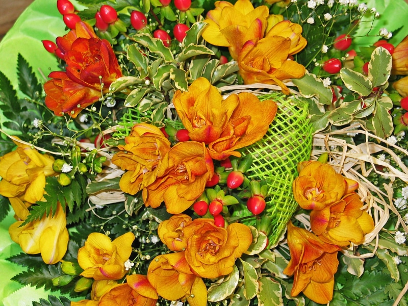 spring flower, leaf, flowering plant, vulnerability, Flowers, still life, beauty in nature, greeting card, vegetable, luck, bunch of flowers, outdoors