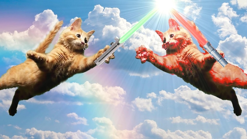 Jedi, day, cloud - sky, lens flare, brown, sky, one animal, sunlight, lightsaber, cats, digital art, animal, domestic animals, pets, animal themes, 1080P