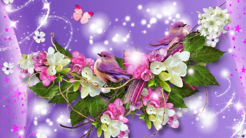papillon, summers, flowers, gleam, scintillate, spangle, glitter, twinkle, 1080P, glim, plumeria, lustre, shine, brightest, glint