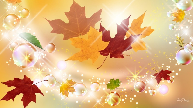 luster, bubbles, breeze, orange, autumn, glitter, red, yellow, fall, leaves, gold, 1080P, lustre, glint, brown, shine, illustration, twinkle, scintillate