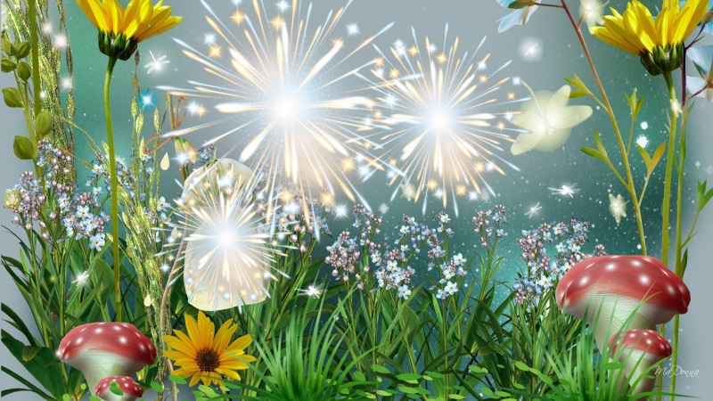 grass, mushroom, fireworks, twinkle, glint, flowers, glitter, garden, lustre, explosion, scintillate, 1080P, gleam, evening, luster